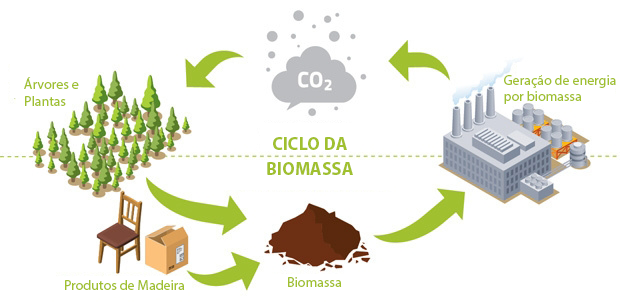 isen ciclo da biomassa